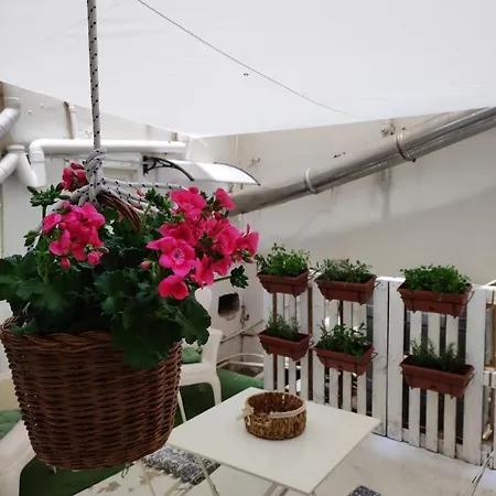 Apartment La Casetta Palermo